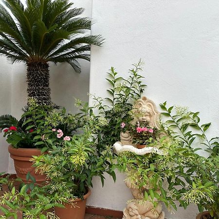 Hotel Park Calitto Forio di Ischia Kültér fotó