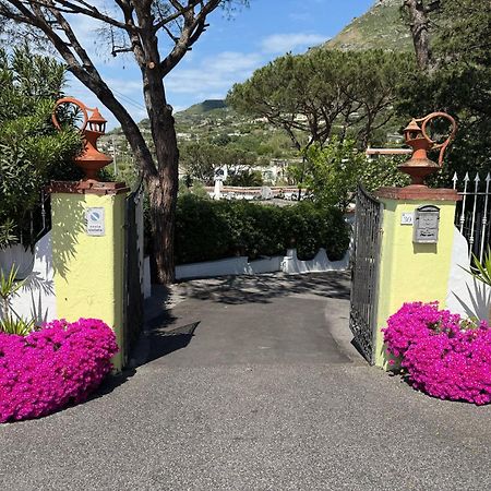 Hotel Park Calitto Forio di Ischia Kültér fotó