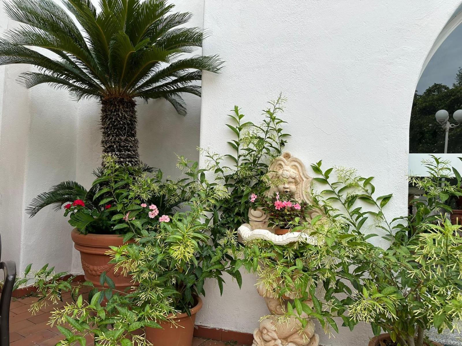 Hotel Park Calitto Forio di Ischia Kültér fotó