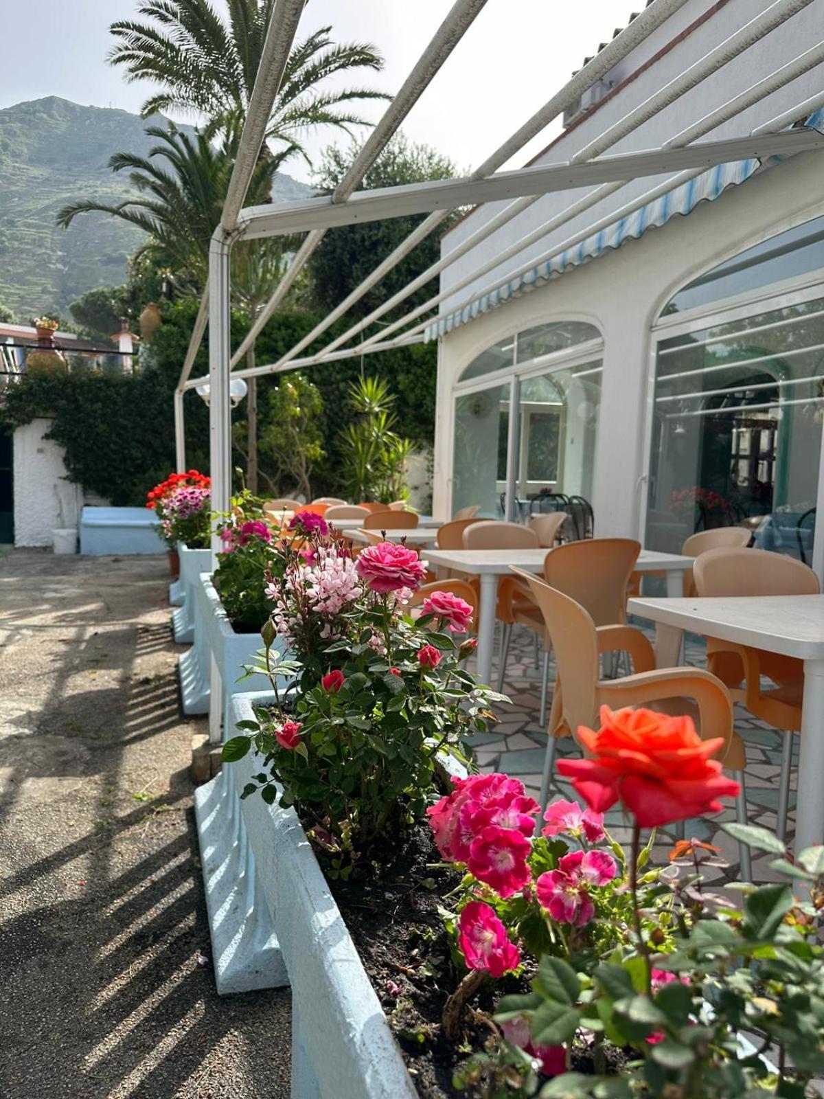 Hotel Park Calitto Forio di Ischia Kültér fotó