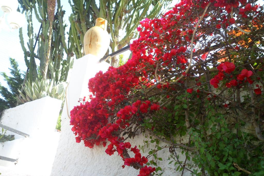 Hotel Park Calitto Forio di Ischia Kültér fotó