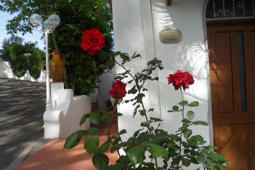 Hotel Park Calitto Forio di Ischia Kültér fotó