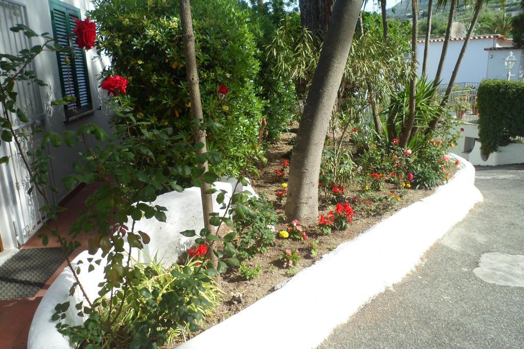 Hotel Park Calitto Forio di Ischia Kültér fotó