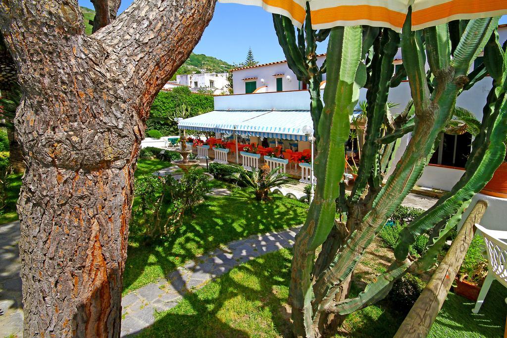 Hotel Park Calitto Forio di Ischia Kültér fotó